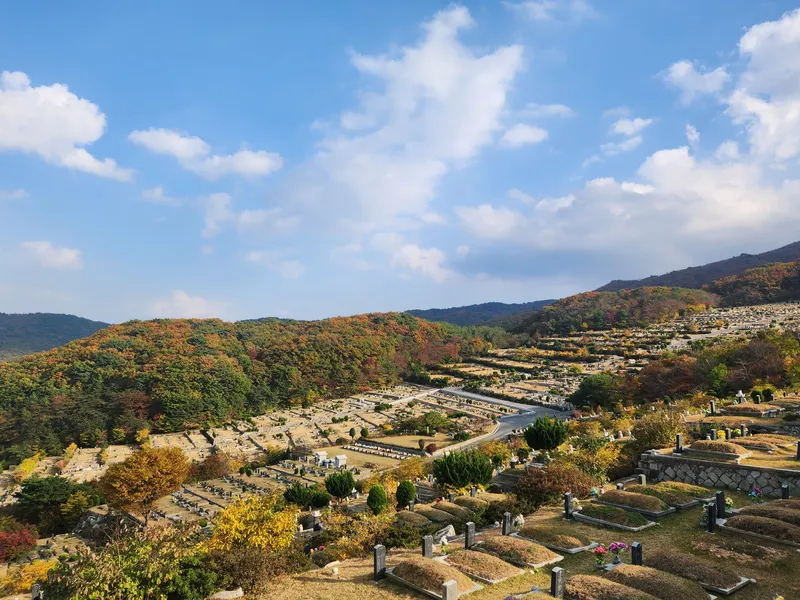 undefined 명당 (재)삼덕공원묘원 공원묘지 매장묘 및 가족묘 단지 전경 2