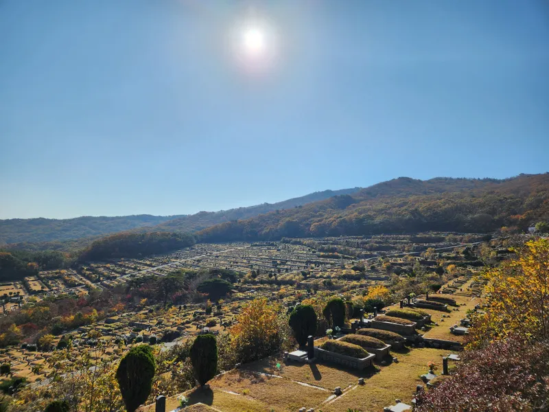 undefined 명당 (재)삼덕공원묘원 공원묘지 매장묘 및 가족묘 단지 전경 3