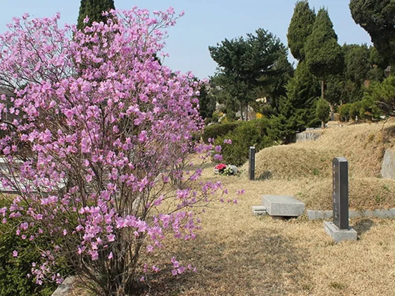 undefined 명당 (재)운경공원묘원 공원묘지 매장묘 및 가족묘 단지 전경 2