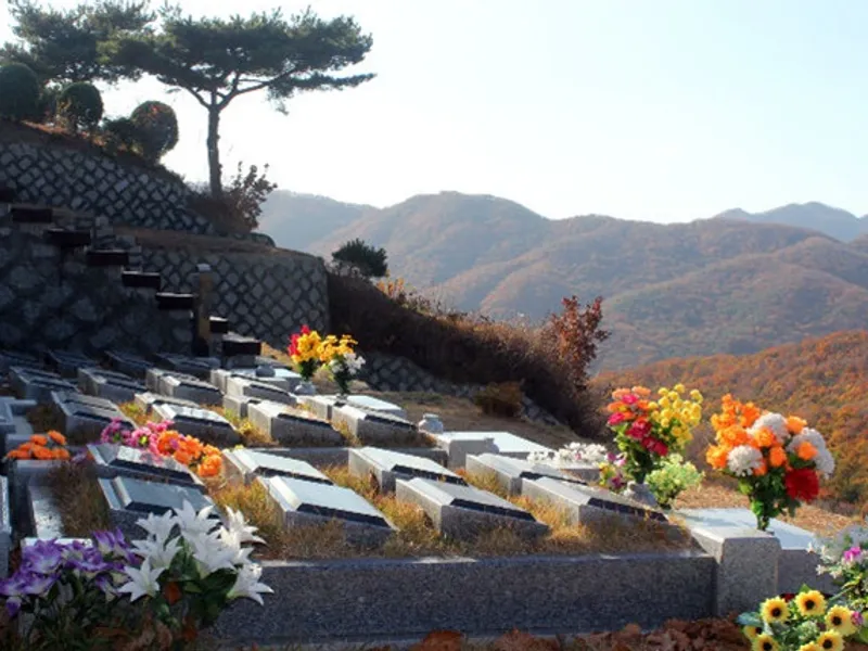 undefined 명당 (재)운경공원묘원 공원묘지 매장묘 및 가족묘 단지 전경 3
