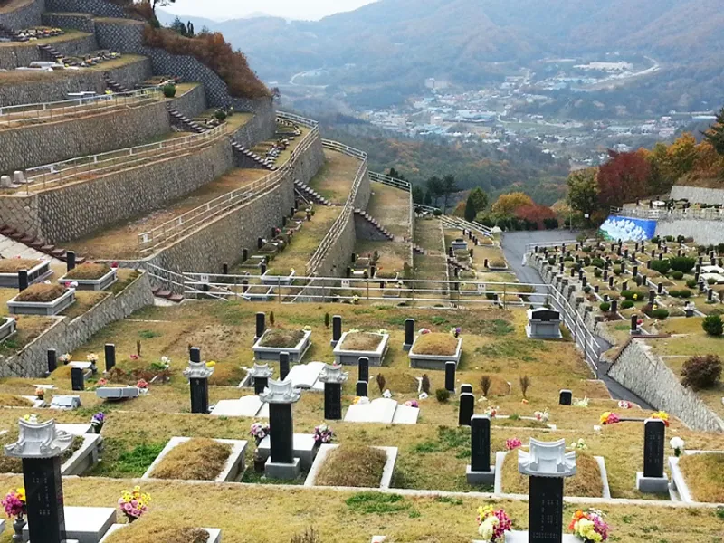 undefined 명당 (재)운경공원묘원 공원묘지 매장묘 및 가족묘 단지 전경 4