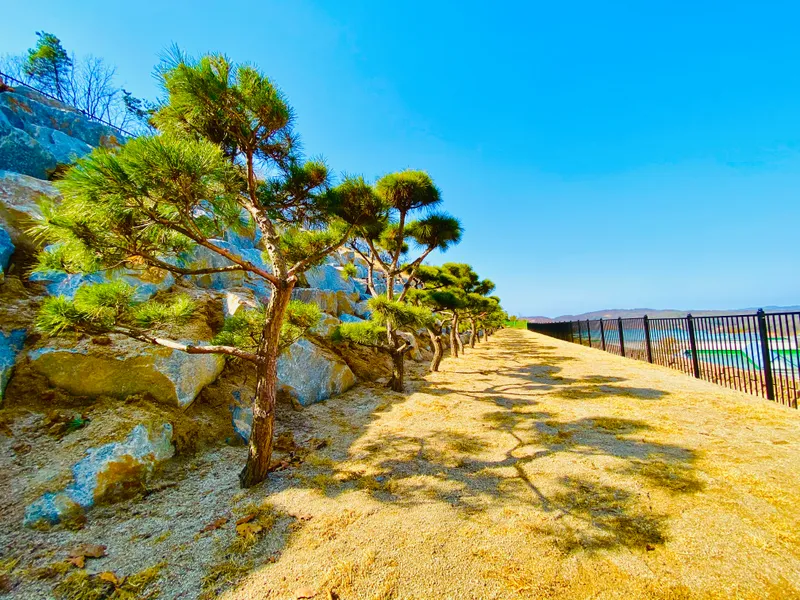 undefined 친환경 자연장지 중앙추모공원 수목장/잔디장 추모목 전경 2