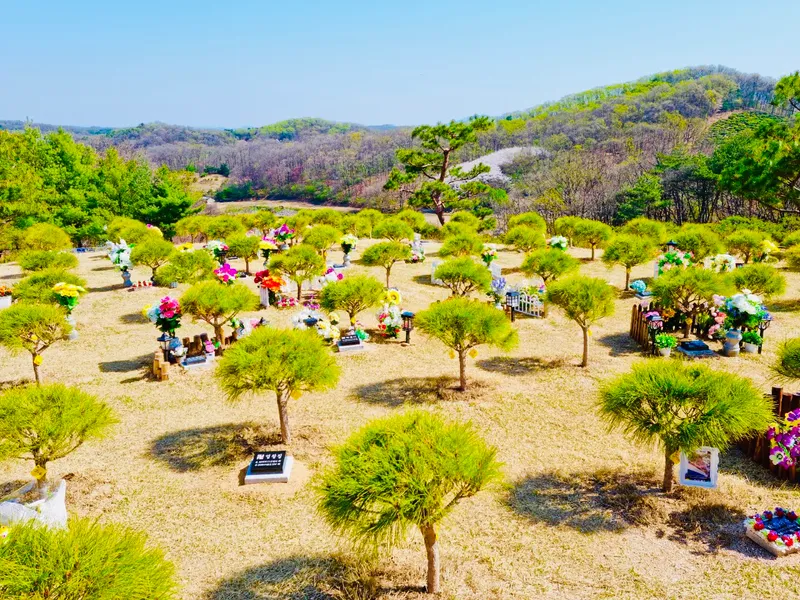 undefined 친환경 자연장지 중앙추모공원 수목장/잔디장 추모목 전경 3