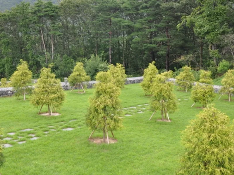 undefined 친환경 자연장지 울산하늘공원 자연장지 수목장/잔디장 추모목 전경 4