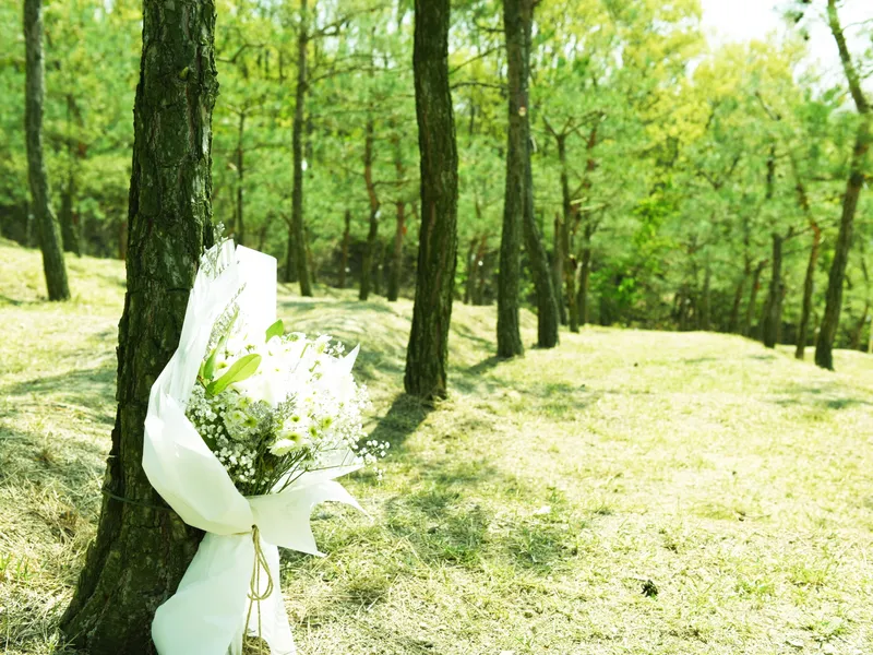 undefined 친환경 자연장지 유토피아수목장 수목장/잔디장 추모목 전경 3