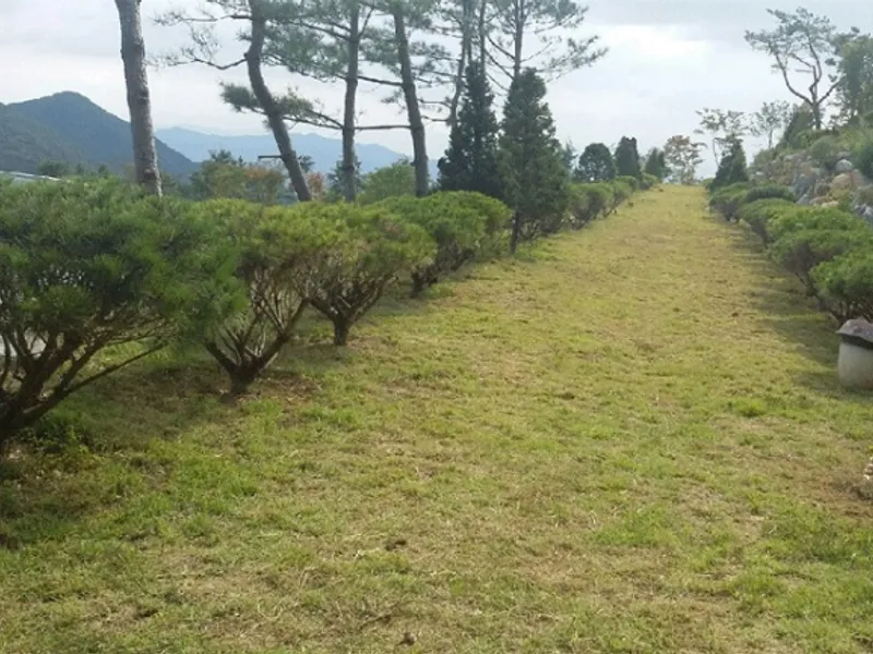 undefined 친환경 자연장지 (재)만어추모공원 수목장 수목장/잔디장 추모목 전경 2