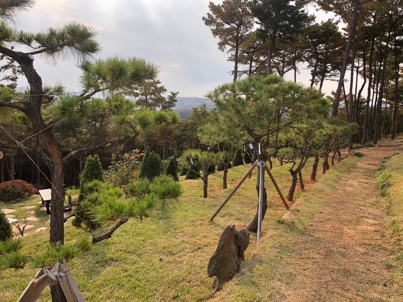 undefined 친환경 자연장지 화성하늘공원 수목장림 수목장/잔디장 추모목 전경 3