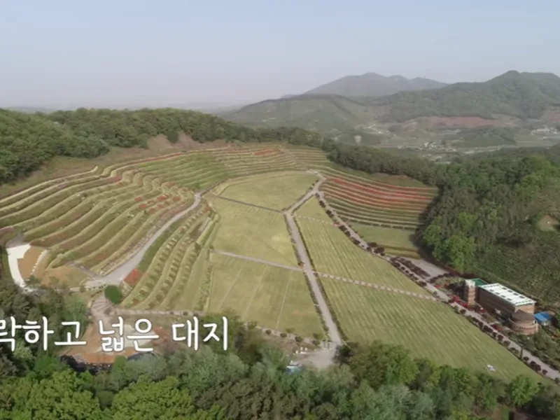 undefined 친환경 자연장지 영모묘원 자연장지 수목장/잔디장 추모목 전경 2