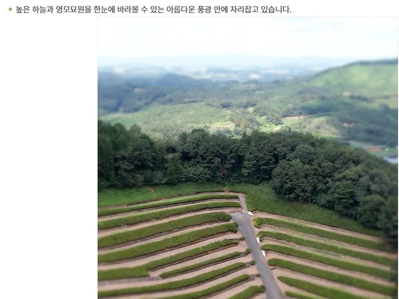 undefined 친환경 자연장지 영모묘원 자연장지 수목장/잔디장 추모목 전경 3