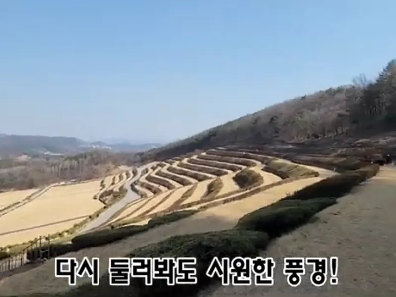 undefined 친환경 자연장지 영모묘원 자연장지 수목장/잔디장 추모목 전경 5