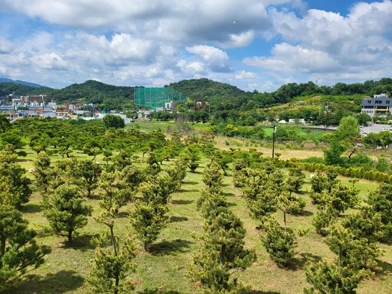 undefined 친환경 자연장지 에덴의정원 수목장 수목장/잔디장 추모목 전경 4
