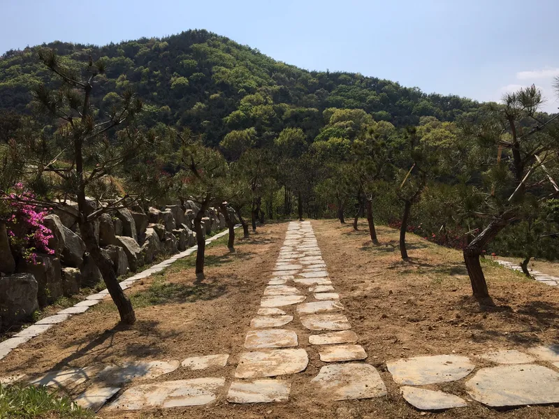 undefined 친환경 자연장지 (재)지평선전북공원묘원(자연) 수목장/잔디장 추모목 전경 2