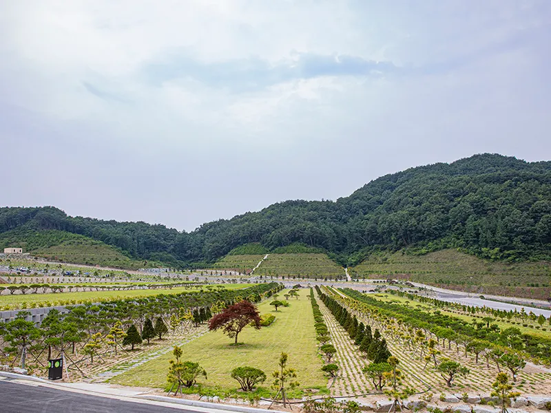undefined 친환경 자연장지 (재)호정공원(자연장) 수목장/잔디장 추모목 전경 3