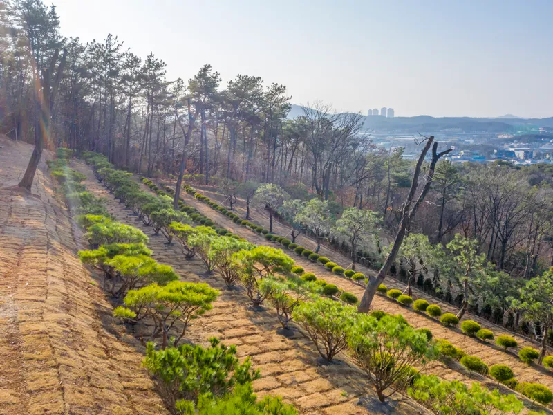 undefined 친환경 자연장지 일산공감수목장(봉화사) 수목장/잔디장 추모목 전경 5