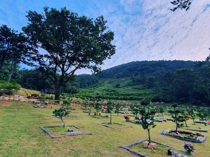 undefined 친환경 자연장지 늘푸른수목장(청광사) 수목장/잔디장 추모목 전경 2