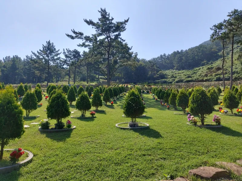 undefined 친환경 자연장지 늘푸른수목장(청광사) 수목장/잔디장 추모목 전경 3