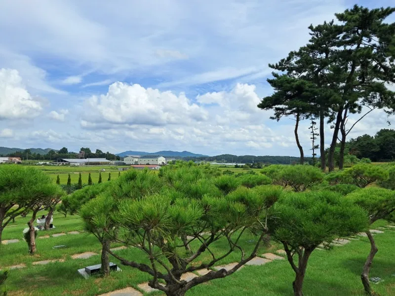 undefined 친환경 자연장지 목자은혜교회 수목장/잔디장 추모목 전경 2