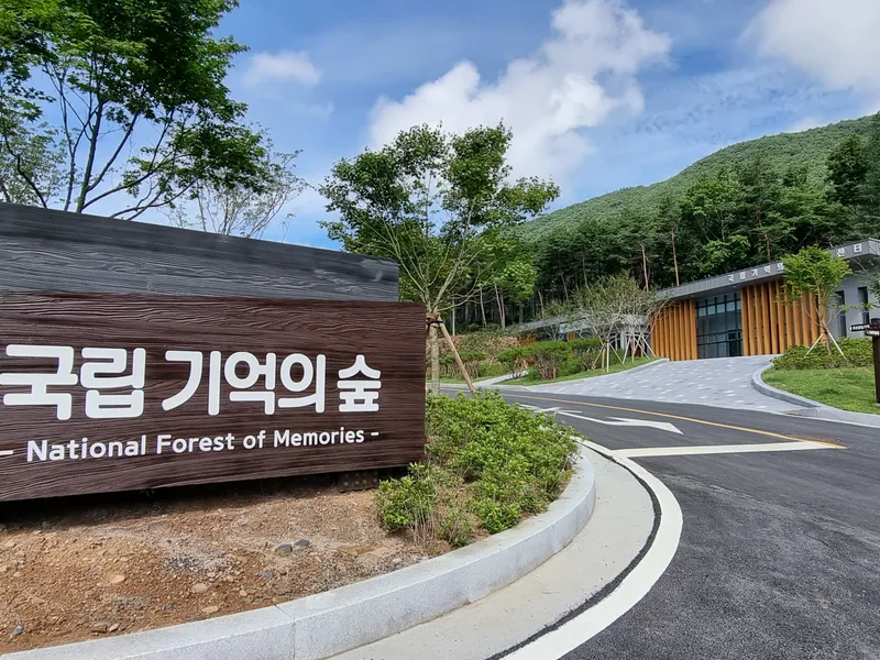 undefined 친환경 자연장지 국립기억의숲 수목장/잔디장 추모목 전경 3
