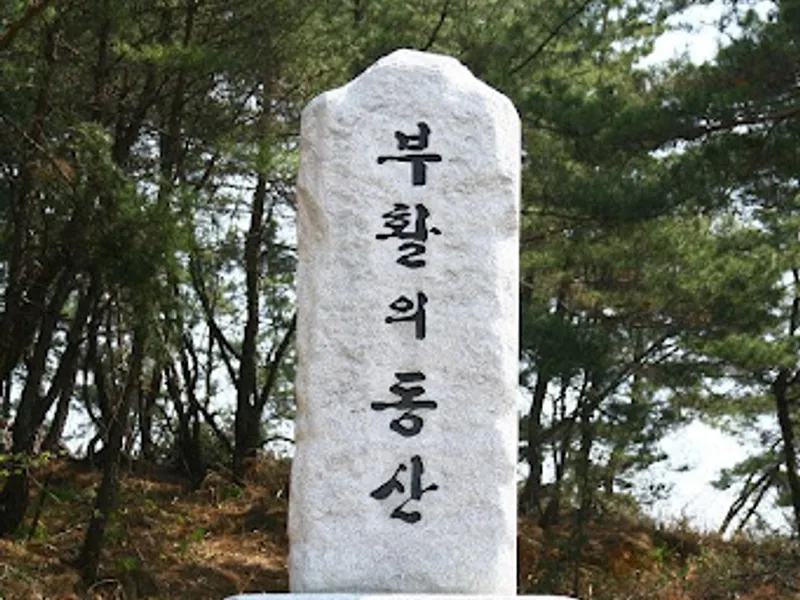 undefined 친환경 자연장지 대구남덕교회부활동산 수목장/잔디장 추모목 전경 2