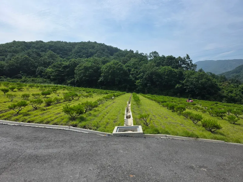 undefined 친환경 자연장지 경각산 수목장 수목장/잔디장 추모목 전경 2