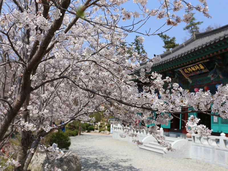 undefined 추모시설 대한불교관음회조계종 백천사 봉안당 납골당(봉안당) 안치단 및 제례실 시설 사진 2